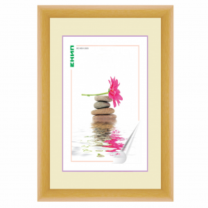 Фоторамка 9х13 пр.6/210